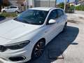Fiat Tipo Tipo 5 porte II 2016 5p 1.4 Easy 95cv -GPL Белый - thumbnail 5