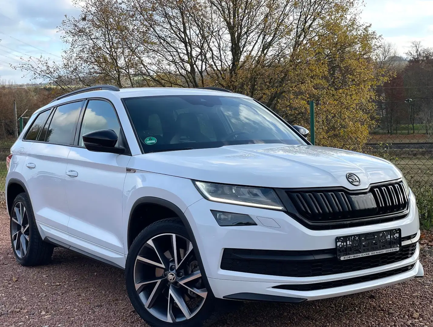 Skoda Kodiaq 2.0 TDI Sportline 4x4*STHZ*RFK*AHK*20 Zol Weiß - 1