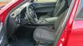 Alfa Romeo Stelvio 2.2 Turbodiesel 160cv AT8 RWD Business Rosso - thumbnail 10