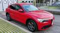 Alfa Romeo Stelvio 2.2 Turbodiesel 160cv AT8 RWD Business Rosso - thumbnail 1