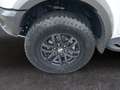 Ford Ranger VII Raptor - Ranger Raptor 2.0 tdci double cab 213 Weiß - thumbnail 16
