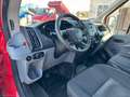 Ford Transit TRANSIT CASSONE RIGIDO 2.0CC 130CV Transit cassona Rosso - thumbnail 10