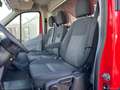 Ford Transit TRANSIT CASSONE RIGIDO 2.0CC 130CV Transit cassona Rosso - thumbnail 9