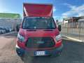 Ford Transit TRANSIT CASSONE RIGIDO 2.0CC 130CV Transit cassona Rosso - thumbnail 11