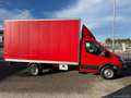 Ford Transit TRANSIT CASSONE RIGIDO 2.0CC 130CV Transit cassona Rosso - thumbnail 7