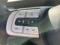 Honda Jazz 1.5 Hybrid Crosstar Executive Allwetterreifen, Blanc - thumbnail 13
