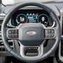 Ford F 150 New Limited € 57750 +3.5L POWERBOOST HYBRID V6 Negro - thumbnail 15