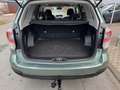 Subaru Forester Exclusive CVT Verde - thumbnail 5