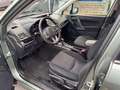 Subaru Forester Exclusive CVT Verde - thumbnail 7