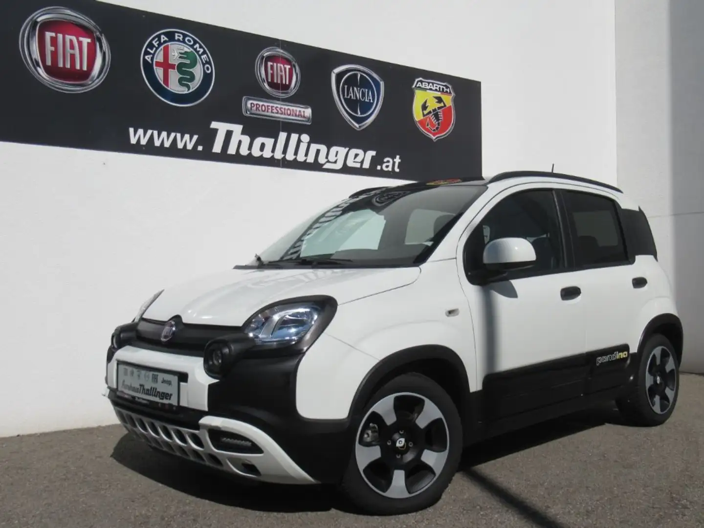 Fiat Pandina PANDA/PANDINA FIREFLY 70 HY Weiß - 2