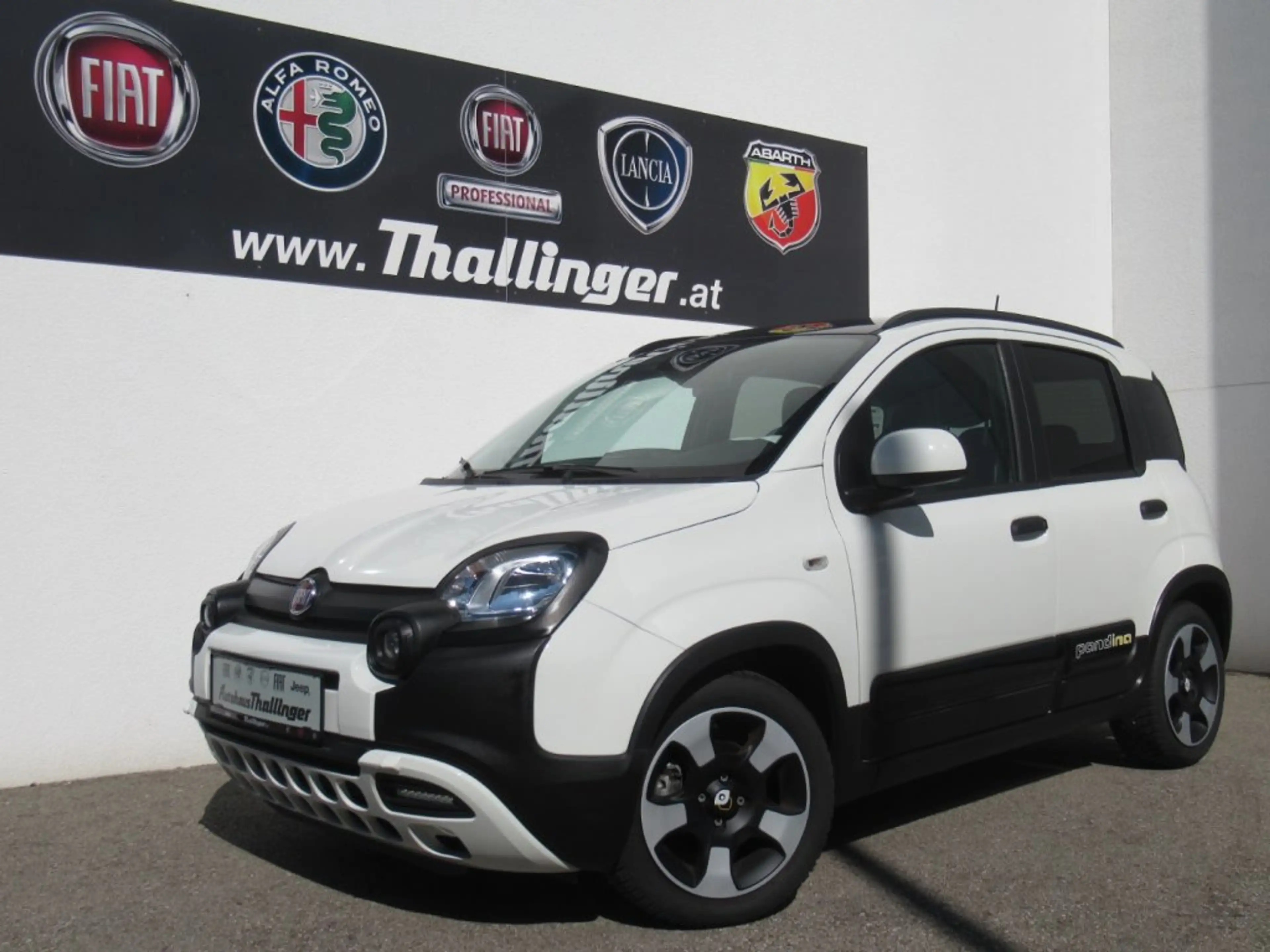 Fiat Pandina PANDA/PANDINA FIREFLY 70 HY — photo 2