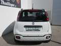Fiat Pandina PANDA/PANDINA FIREFLY 70 HY Weiß - thumbnail 6