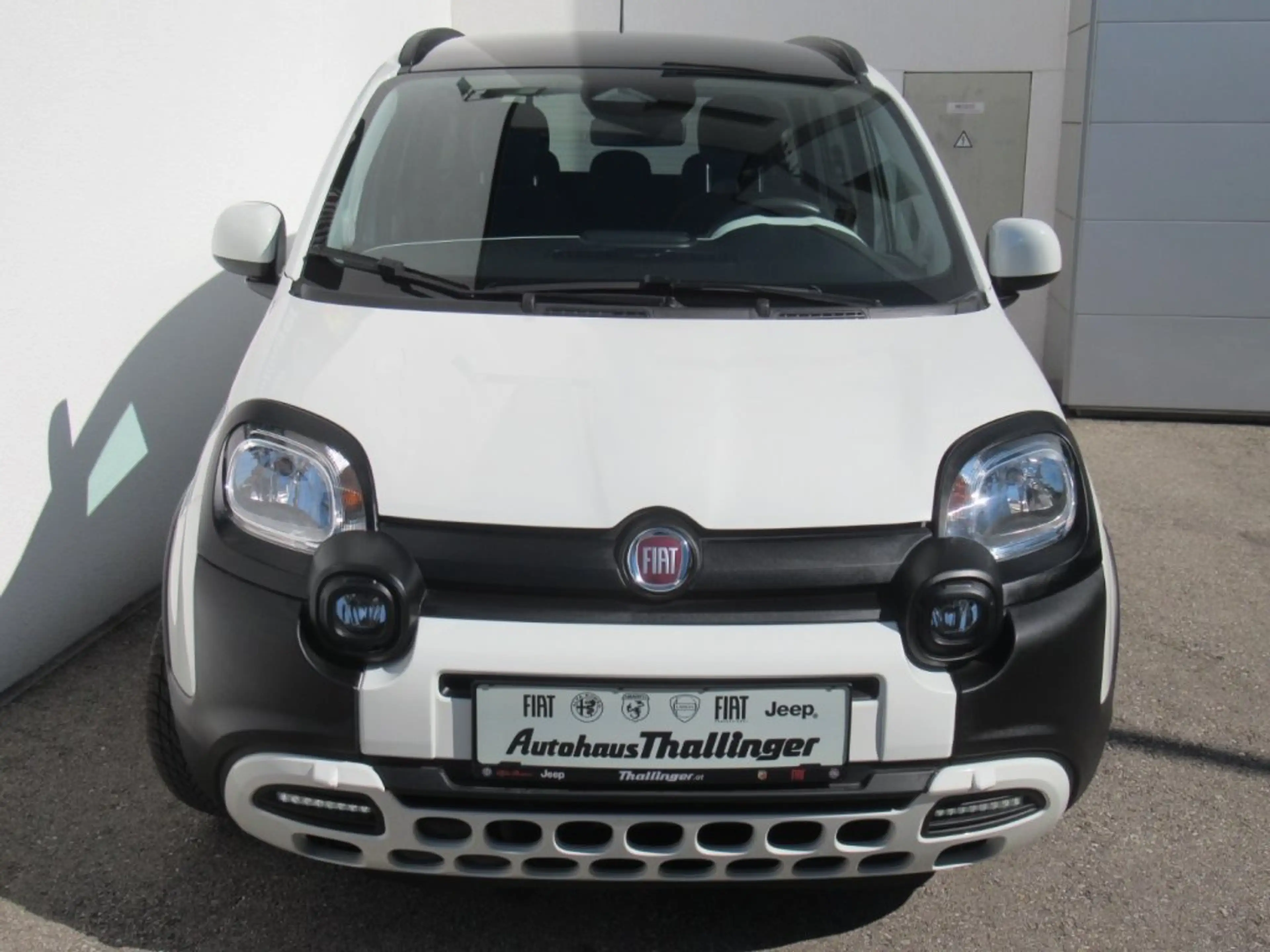Fiat Pandina PANDA/PANDINA FIREFLY 70 HY — photo 4