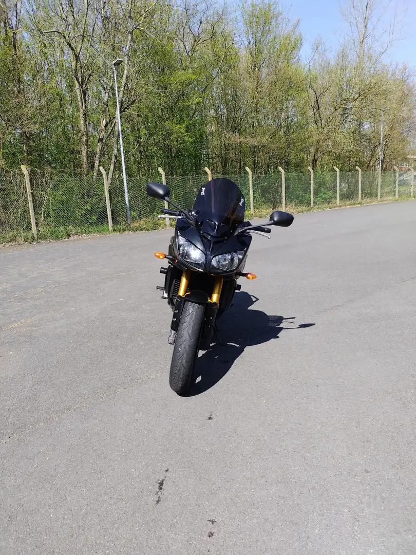 Yamaha FZ 1 Grün - 2