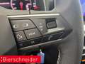 SEAT Ibiza 1.0 TSI DSG Road Edition ab 179,- EUR mtl. 15 PDC Grau - thumbnail 29