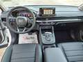 Honda CR-V 2.0 Hev eCVT Elegance *NUOVA DA IMMATRICOLARE* White - thumbnail 8