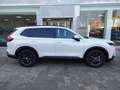 Honda CR-V 2.0 Hev eCVT Elegance *NUOVA DA IMMATRICOLARE* Blanc - thumbnail 4