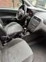 Fiat Punto Evo 1.2 - thumbnail 12