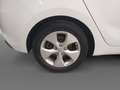 Kia Carens 1.7CRDi Eco-Dynamics Concept 115 Blanco - thumbnail 11
