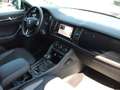Skoda Kodiaq 2.0 TSI 4x4 DSG Drive 125 Blau - thumbnail 12