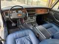 Jaguar XJ12 5.3 Fuel Iniection ASI Blau - thumbnail 9