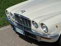 Jaguar XJ12 5.3 Fuel Iniection ASI Blau - thumbnail 15