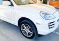 Porsche Cayenne Diesel Aut. bijela - thumbnail 2