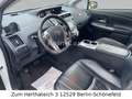 Toyota Prius + Comfort 1.HAND HUD KAMER NAVI SHZ KLIMA Bianco - thumbnail 10