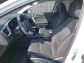 Kia Ceed SW / cee'd SW ceed SW 1,0 T-GDI GPF ISG Silber Weiß - thumbnail 6