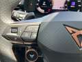 CUPRA Terramar VZ 2.0 TSI DSG 4Drive MATRIX+AHK+PANO Schwarz - thumbnail 22