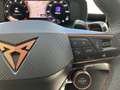CUPRA Terramar VZ 2.0 TSI DSG 4Drive MATRIX+AHK+PANO Schwarz - thumbnail 23