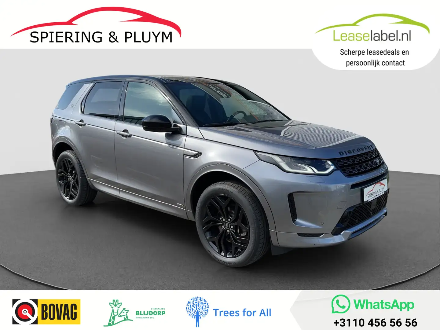 Land Rover Discovery Sport P300e 1.5 R-Dynamic SE | Meridian | Panodak | ad.c Grey - 1