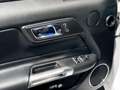 Ford Mustang (6) Fastback V8 BVA6 GT Wit - thumbnail 24