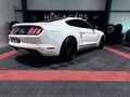 Ford Mustang (6) Fastback V8 BVA6 GT Wit - thumbnail 2