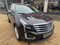 Cadillac XT5 Premium AWD Grau - thumbnail 7