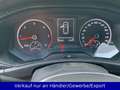 Volkswagen T-Roc 1.5 TDI Klma AHK SHZ PDC Rot - thumbnail 10