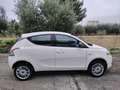 Lancia Ypsilon Ypsilon 2011 0.9 Elefantino ecochic metano 80cv Bianco - thumbnail 4