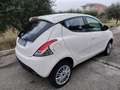 Lancia Ypsilon Ypsilon 2011 0.9 Elefantino ecochic metano 80cv Bianco - thumbnail 5