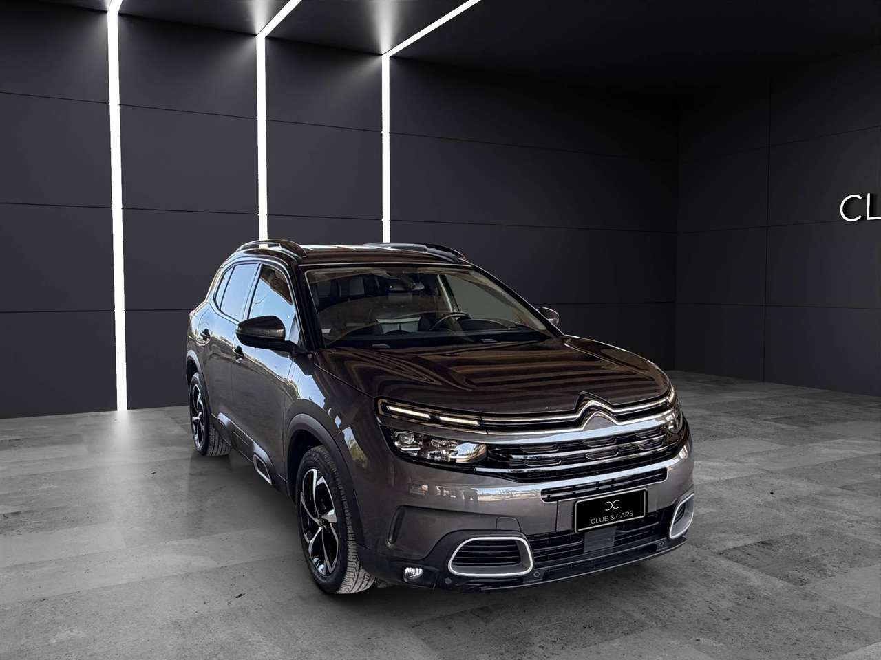 Citroen C5 Aircross C5 Aircross  1.5 bluehdi Shine s&s 130cv EAT8