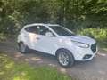 Hyundai iX35 iX35 1.6i GDI i-Magine Bílá - thumbnail 7