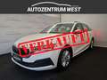 Skoda Octavia Combi 2,0 TDI Ambition DSG...Navi/AHK/LED Weiß - thumbnail 1