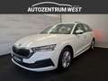 Skoda Octavia Combi 2,0 TDI Ambition DSG...Navi/AHK/LED Weiß - thumbnail 2