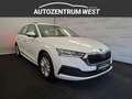Skoda Octavia Combi 2,0 TDI Ambition DSG...Navi/AHK/LED Weiß - thumbnail 6