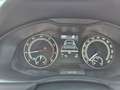 Skoda Kamiq Ambition*CarPlay*R-Kam*ACC*LED*TOP Grijs - thumbnail 22