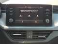 Skoda Kamiq Ambition*CarPlay*R-Kam*ACC*LED*TOP Grijs - thumbnail 41