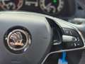 Skoda Kamiq Ambition*CarPlay*R-Kam*ACC*LED*TOP Grijs - thumbnail 36