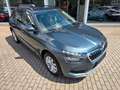 Skoda Kamiq Ambition*CarPlay*R-Kam*ACC*LED*TOP Grijs - thumbnail 6