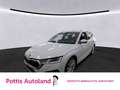 Skoda Octavia Combi iV 1.4 TSI DSG STYLE NAVI PDC LED SITZHZG Weiß - thumbnail 1