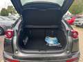 Mazda MX-30 Makoto, Premium Paket Grey - thumbnail 12