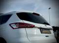 Ford S-Max S-MAX Titanium 2.0 TDCi 4x4 1.Besitz LED/AHK Weiß - thumbnail 6
